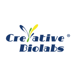 Human Antibody Products